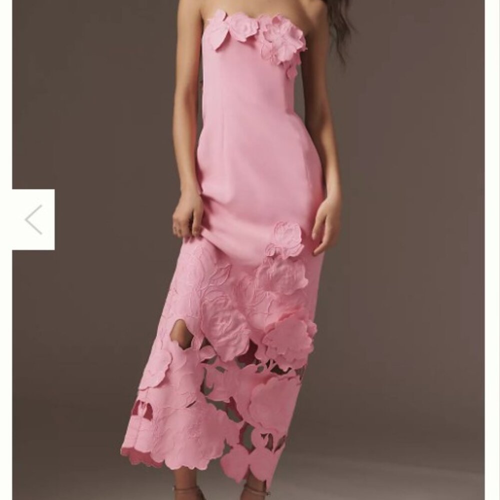 LEO LIN Rayna Appliqué Bustier Maxi Dress - NEVER WORN, TAGS ON, Size 2